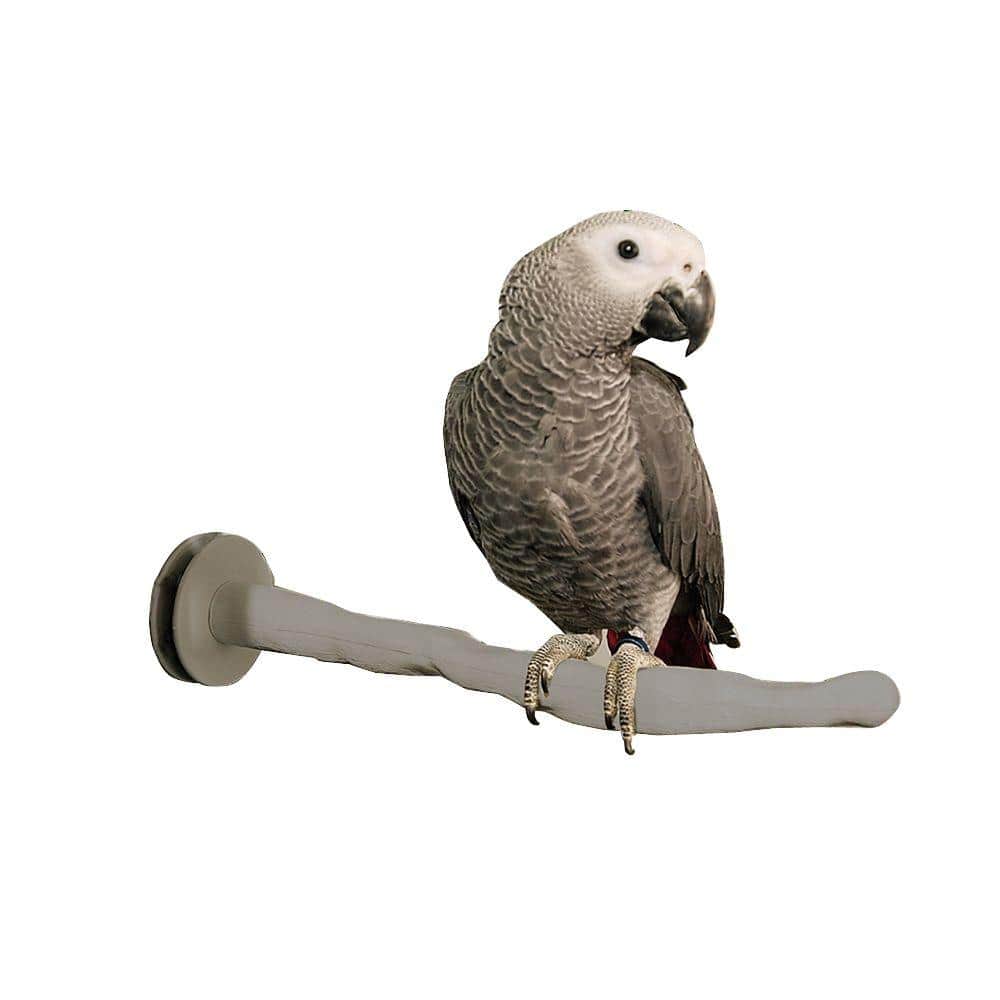 K&H Pet Products Thermo-Perch Medium Bird Perch 100213396 - The Home Depot