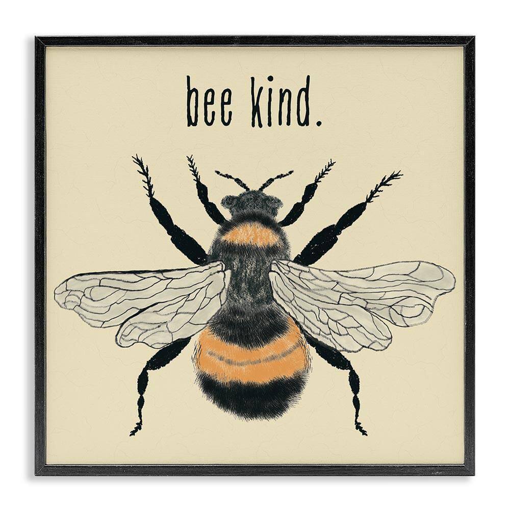 Bee Kind Detailed Bumble by Carrie Cantwell Black Framed Animal Giclee Art Print 24 in. x 24 in. price history on PriceWatchPro