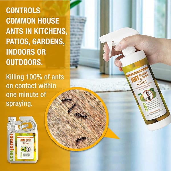 Get Rid of Bugs with a Plant Powered Bug Spray