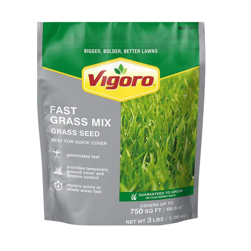 Reviews For Vigoro 3 Lbs Fast Grass Seed Mix Pg 2 The Home Depot   Vigoro Grass Seed 25102 64 1000 