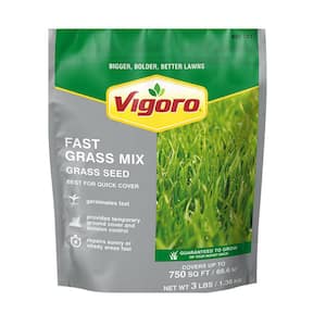 3 lbs. Fast Grass Seed Mix with Water Saver Seed Coating