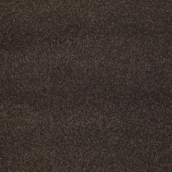Lifeproof Coral Reef II - Potting Soil - Brown 93.6 oz. Nylon Texture Installed Carpet