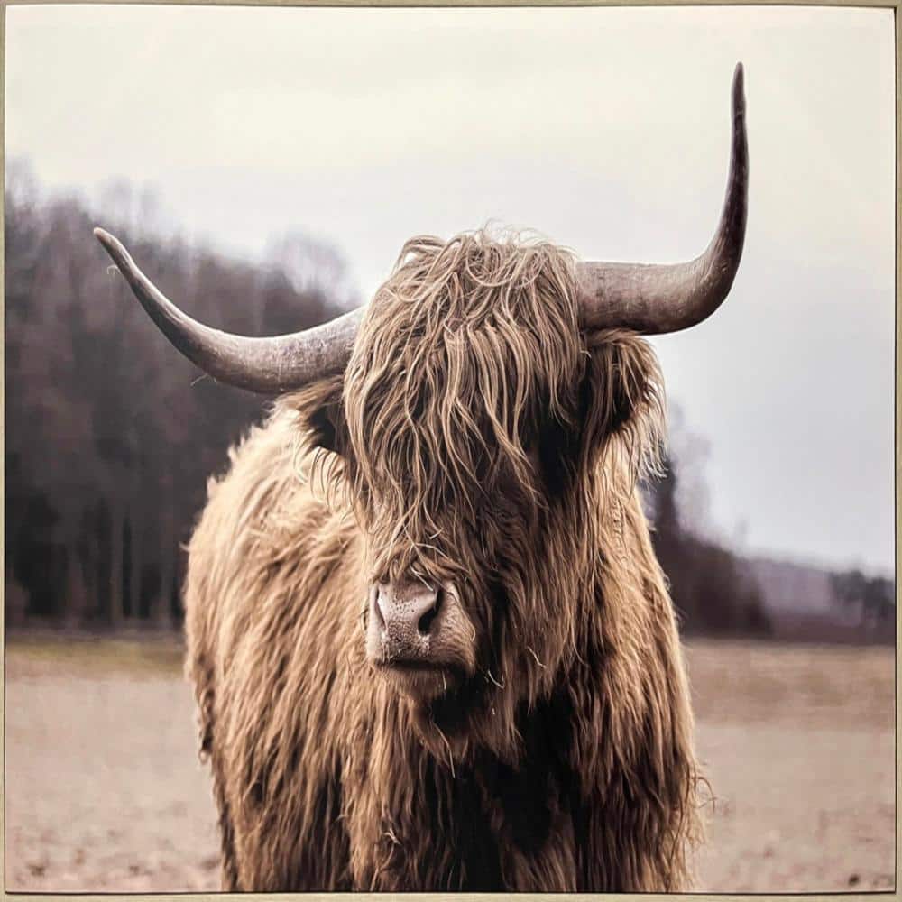 Animal 28 in. x 40 in. Framed Wall Art price history on PriceWatchPro