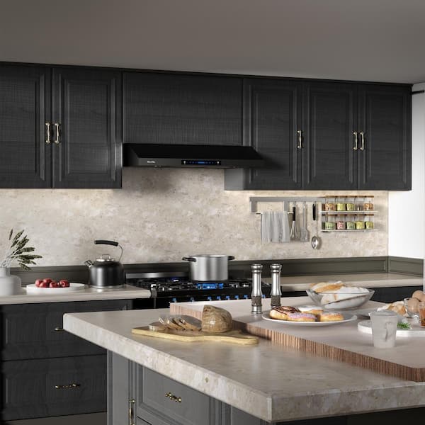 Velivi 30 800 Cubic Feet Per Minute Convertible Insert Range Hood with  Light Included