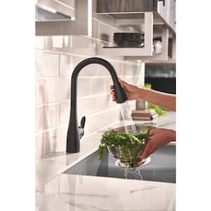 Arbor Single-Handle Pull-Down Sprayer Kitchen Faucet with Power Boost in Matte Black