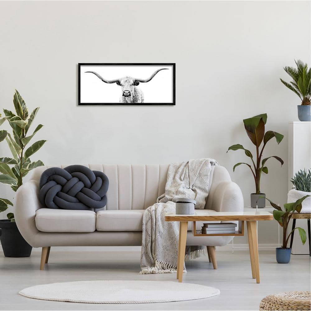 Black Framed Longhorn Cattle Photography Canvas Print, 30 x 13