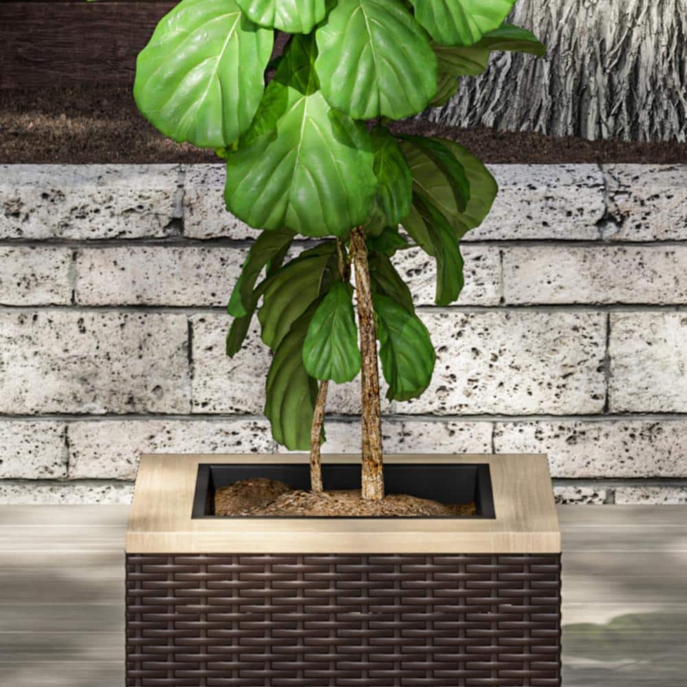 Palm Springs Dark Brown Acacia Wood and Rattan Outdoor Planter
