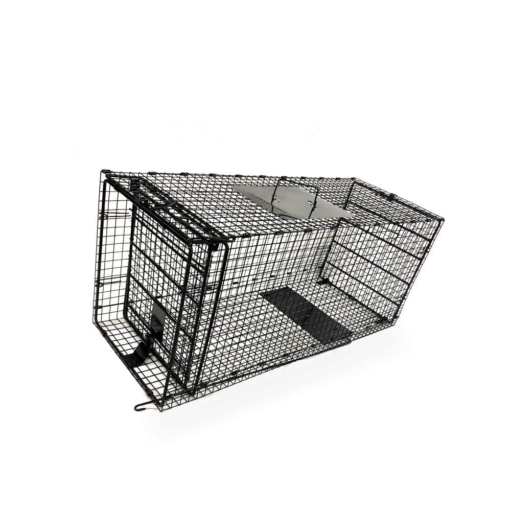 Folding Trap Cage - Live Animal Trap - BirdGard Iberia