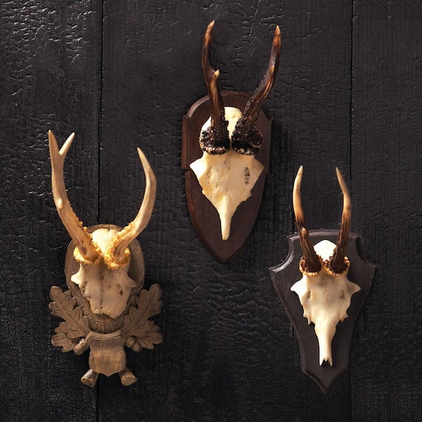 Two's Company 11 in. x 6 lb. The Hunt Club Reproduction Antler Trophy (Set of 3)