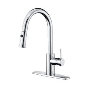 Euro Single-Handle Pull-Down Sprayer Kitchen Faucet with Accessories in Rust and Spot Resist in Polished Chrome