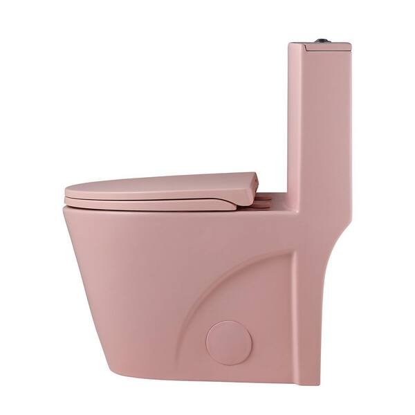 CATALINA Dual Flush 1.1/1.6 GPF Elongated 1-Piece Toilet in Matte