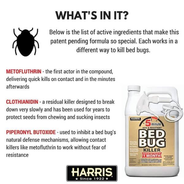 https://images.thdstatic.com/productImages/d567443e-c0d8-4199-975c-764c7e7e2ad5/svn/harris-bug-killer-spray-2gold128promini-c3_600.jpg