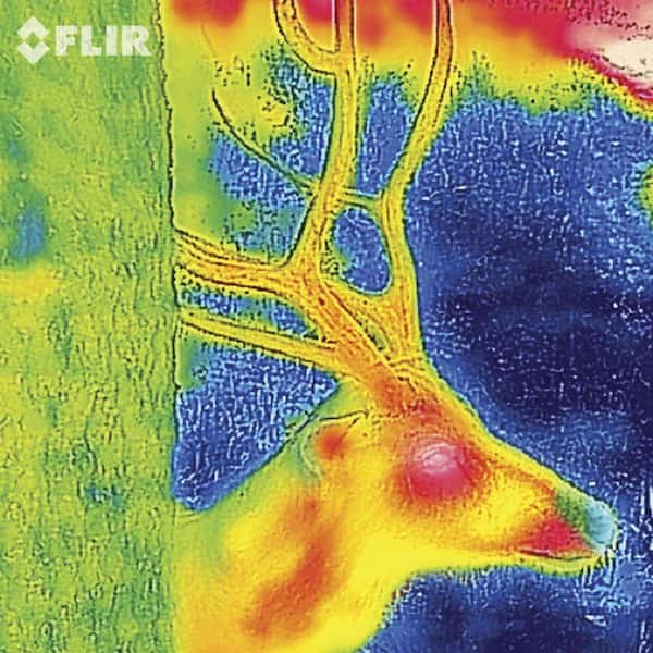 FLIR - ONE-Thermal Imaging Camera for Android