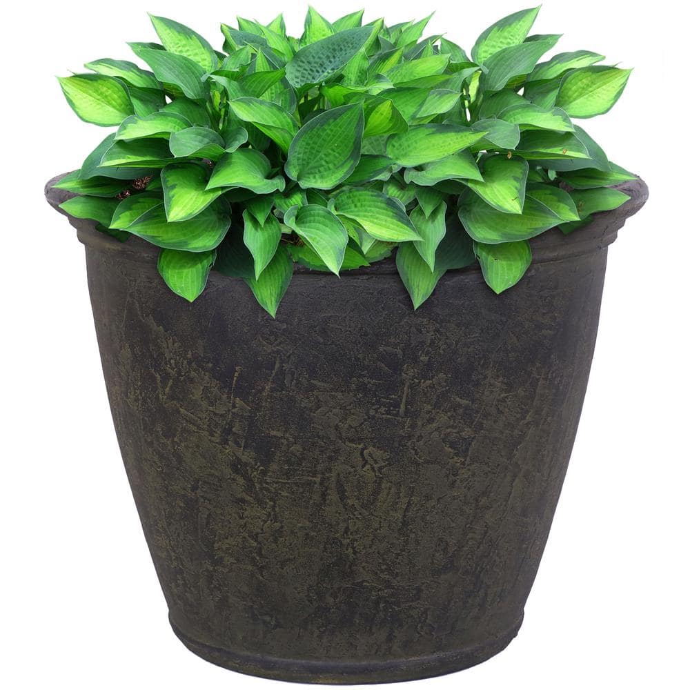 dark-brown-sunnydaze-plant-