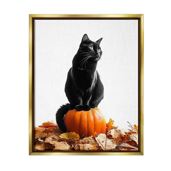 Stupell Industries Black Cat and Pumpkin by Annalisa Latella 1-Piece Floater Frame Graphic Print Animal Poster Art Print 21 in. x 17 in.