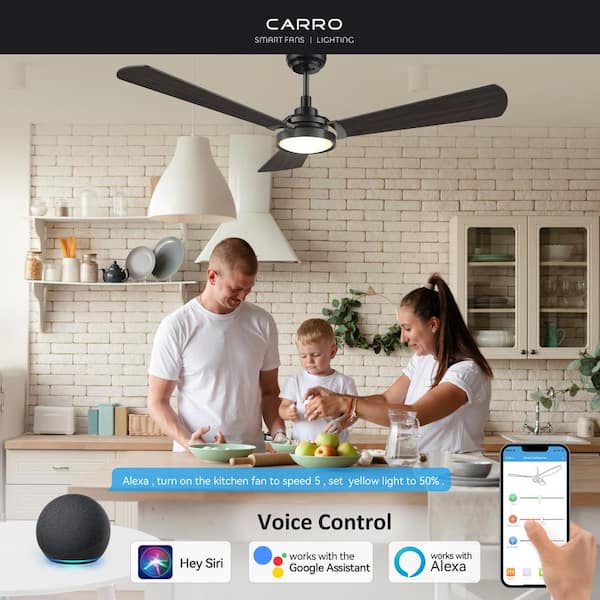 Veter 56 in. Dimmable LED Indoor/Outdoor Black Smart Ceiling Fan with Light and Remote, Works with Alexa/Google Home
