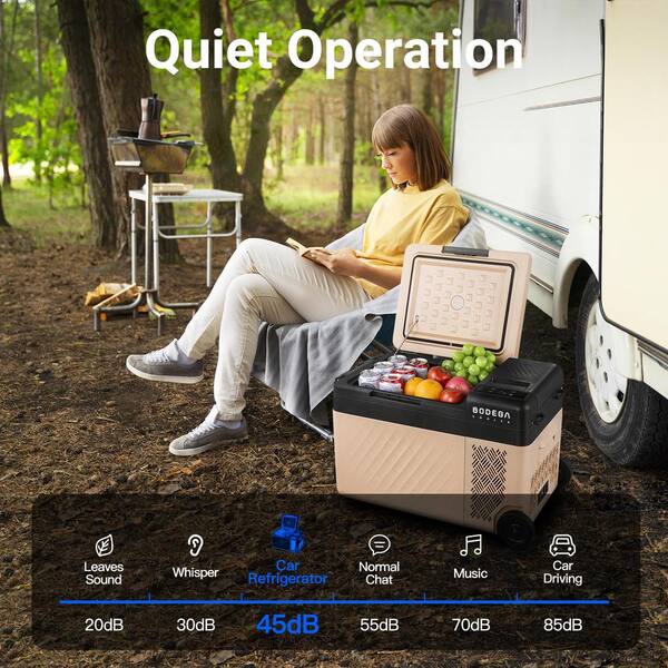 Aaobosi 0.78 cu. ft. Outdoor Refrigerator Portable MIni