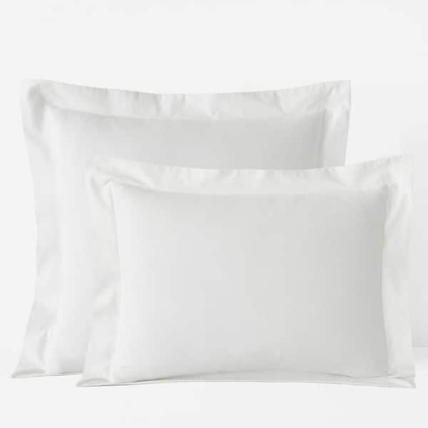 Company Cotton Oxford Solid Sham