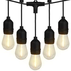 15 Vintage-Style Edison Bulbs, 50 ft. Outdoor Plug-In Integrated LED Edison String -Light