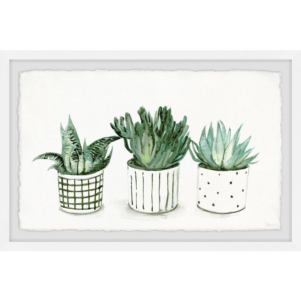 Green Patterned Pots by Parvez Taj Framed Nature Art Print 12 in. x 18 in.