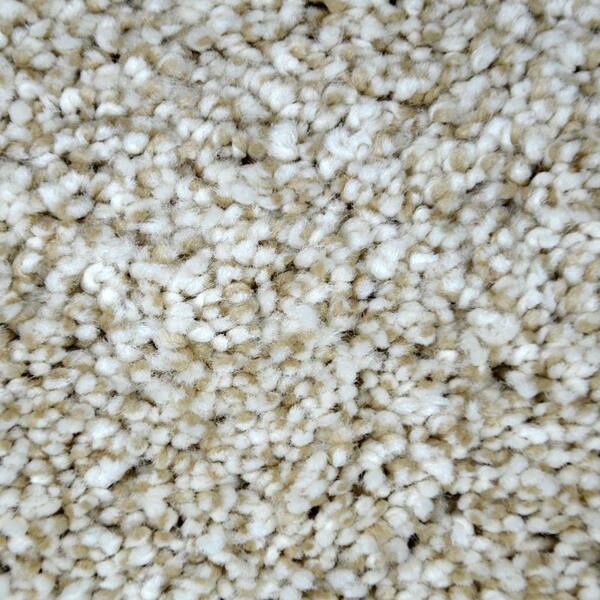 Lifeproof Carpet Sample - Graceful Style II - Color Augusta Texture 8 in. x 8 in.