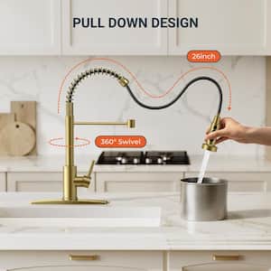 Single Handle Pull Down Sprayer Kitchen Faucet with Deckplate and Spring Gooseneck Pull Out 360° Swivel Spout in Gold