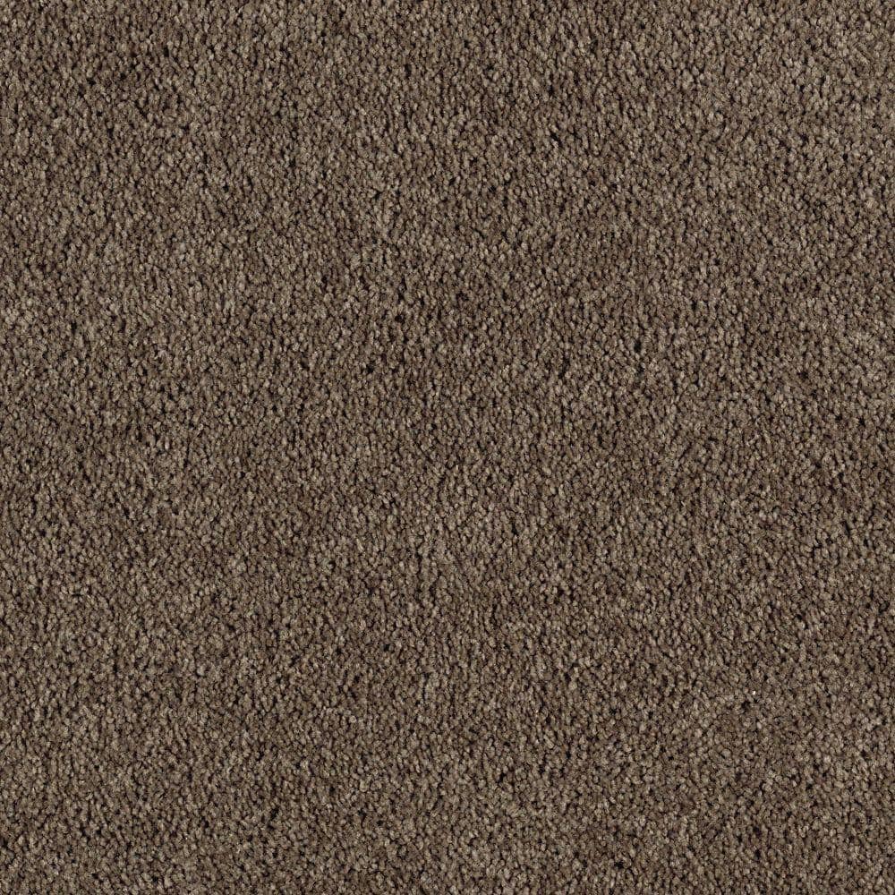 8 in. x 8 in. Texture Carpet Sample - Ambrosina I -Color Wilderness price history on PriceWatchPro