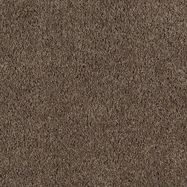 Lifeproof 8 in. x 8 in. Texture Carpet Sample - Ambrosina I -Color Wilderness
