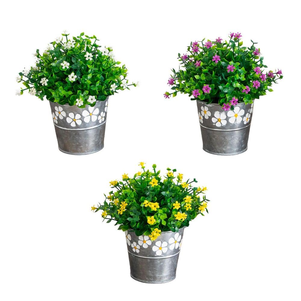 7 in. Multi-Colored Artificial Flowering Mini Daisy Plant in Decorative Daisy Tin Planter - Set of 3 price history on PriceWatchPro