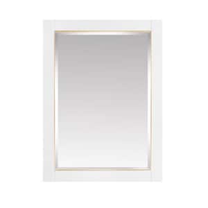 Allie 22 in. W x 28 in. H x 6 in. D Surface Mount Medicine Cabinet in White with Gold Trim