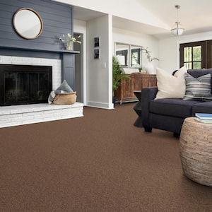 Alpine - Kindness - Brown 17.3 oz. Polyester Texture Installed Carpet