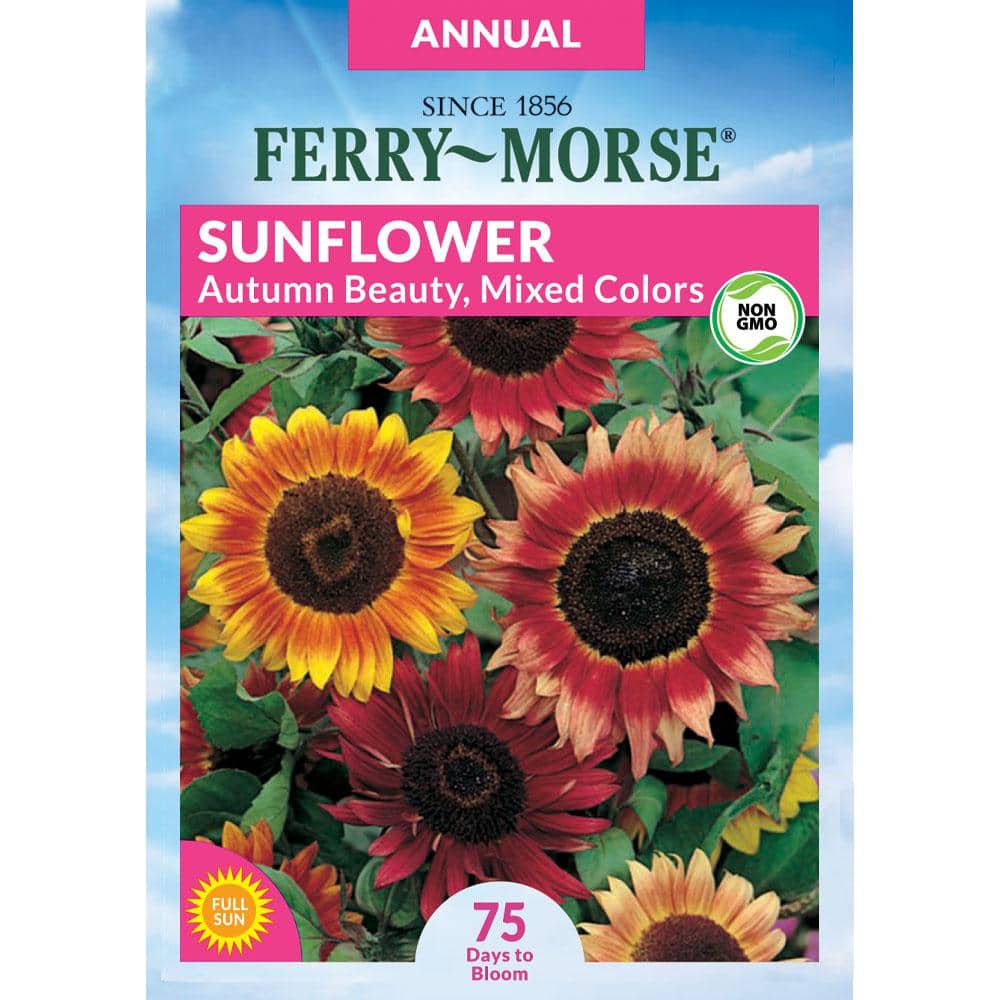ferry-morse-flower-seeds-0041-