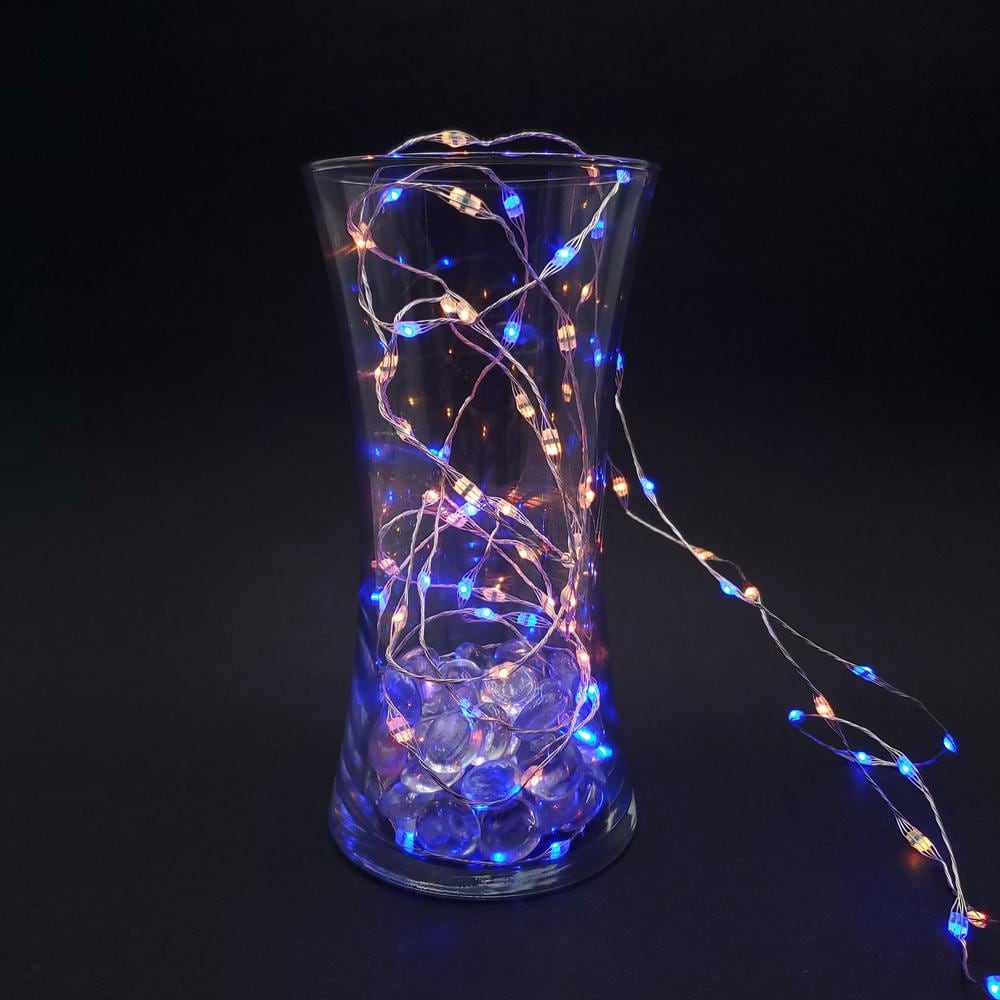 Multi-Color LED Battery Operated Fairy String Lights with Remote