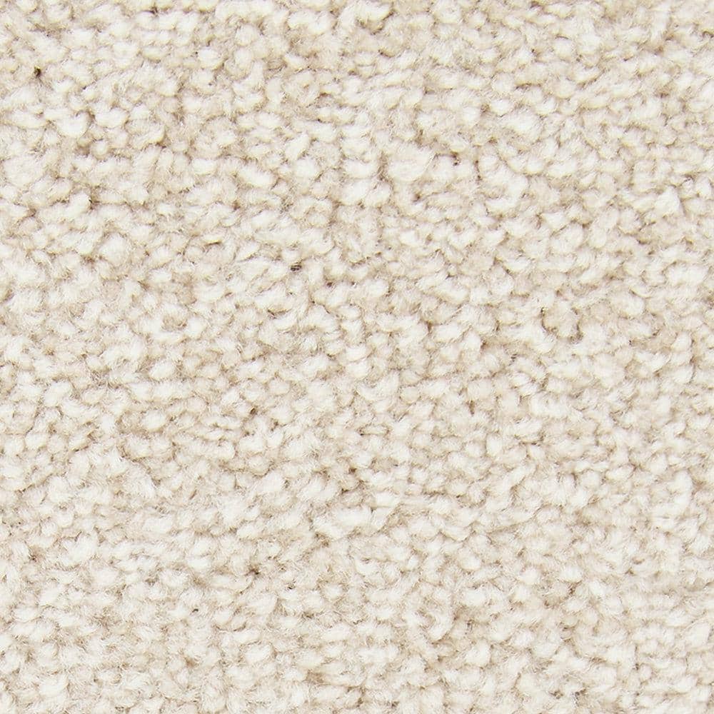 8 in. x 8 in. Texture Carpet Sample - Gentle Peace II -Color Chamois price history on PriceWatchPro