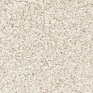 8 in. x 8 in. Texture Carpet Sample - Gentle Peace II -Color Chamois