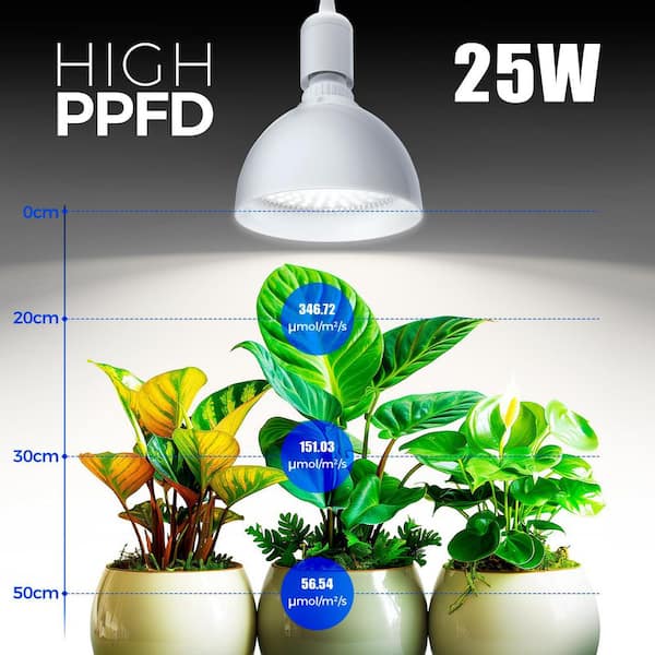 BeamBox 25W White Full Spectrum Aluminum LED Grow Light with Timer