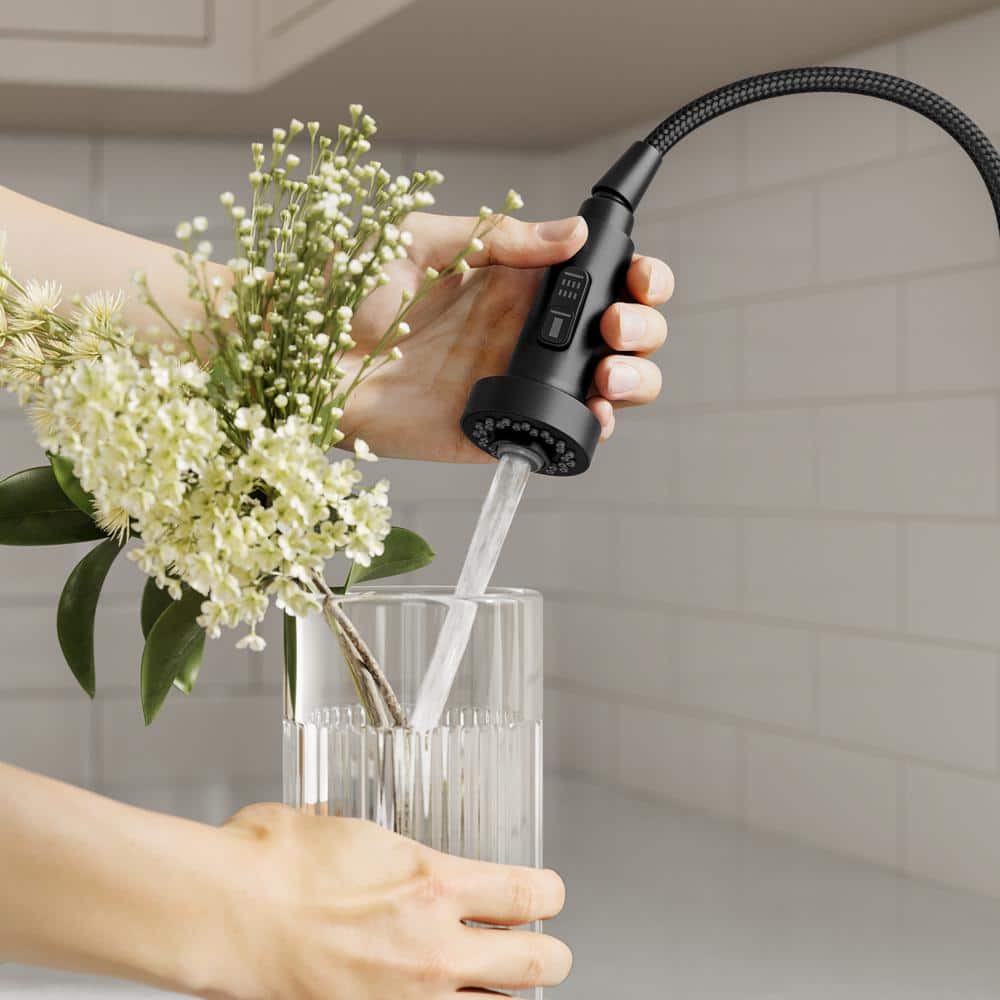 Matte Black Commercial Style Pull-Down Kitchen Faucet with Spray