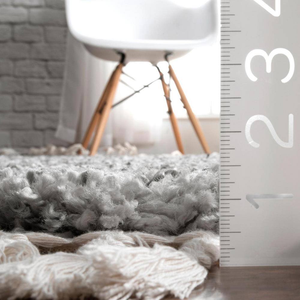 Gray Braided Shag Rectangular Area Rug with Tassels, 2' x 3'