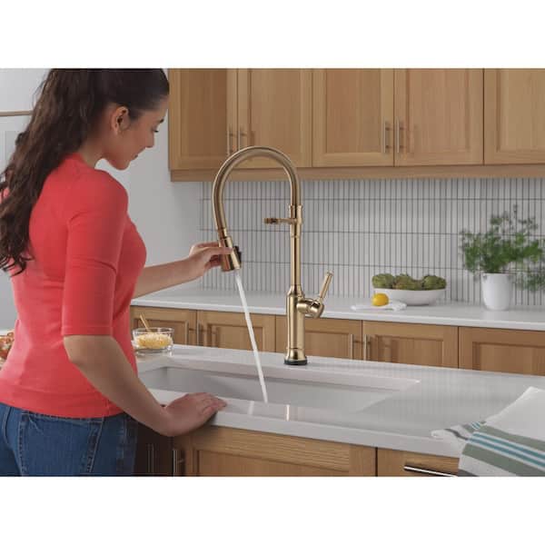 Delta Renaldi Touch2O Spring Spout Gold Champagne Bronze 23.13 in
