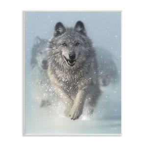 Cute Animal Photo Coyote Pup Canvas and Metal Print Wall 