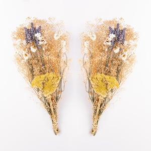 14 in  Dried Natural Baby's Breath Mini Bouquet (2-Pack)