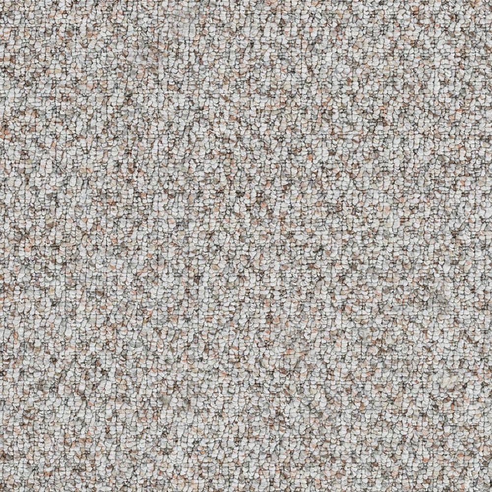 8 in. x 8 in. Loop Carpet Sample - Verse Vibe - Color Emotion price history on PriceWatchPro