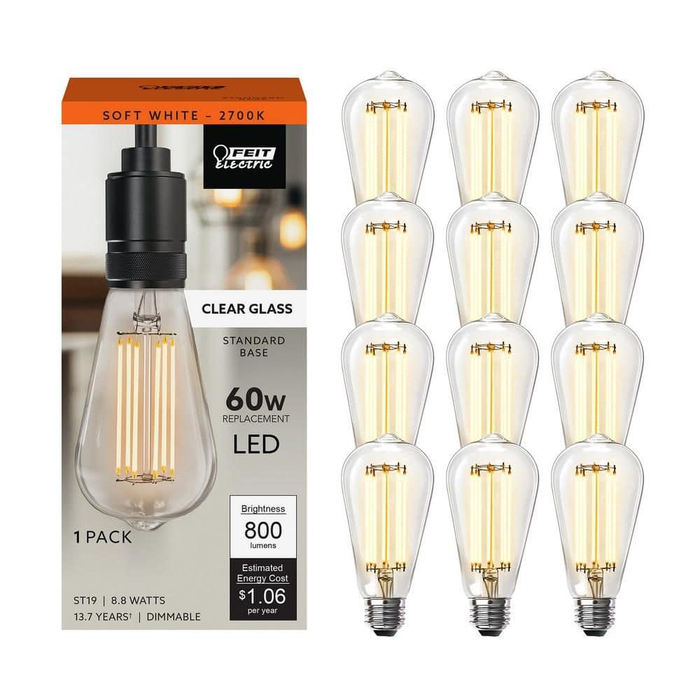 Feit Electric 60-Watt Equivalent ST19 Dimmable Cage Filament Clear