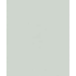 Hotel Light Green Plain Luster Glitter Finish Non-Pasted Non-Woven Wallpaper Roll