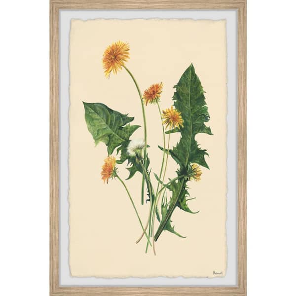 Unbranded "Fresh Dandelions" by Marmont Hill Framed Nature Art Print 18 in. x 12 in.