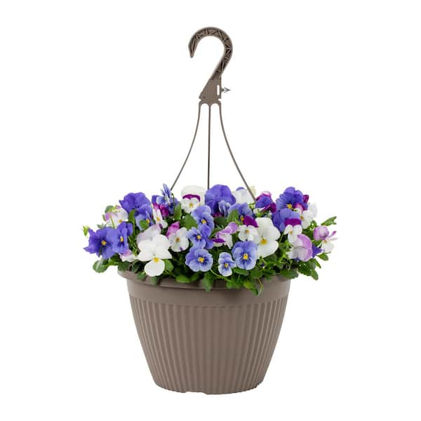 Vigoro 1.75 Gal. Vigoro Select Trailing Pansy Purple, Pink and White Mix in Decorative Hanging Basket Annual Plant (1-Pack)