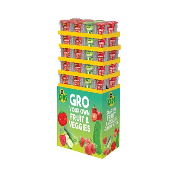SMG Kid Kits Display Fruits (40-Count)