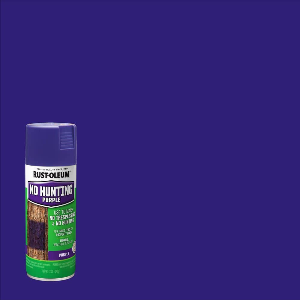 Home Depot Purple Paint