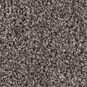 Founder - Color Pioneer Indoor Texture Brown Carpet