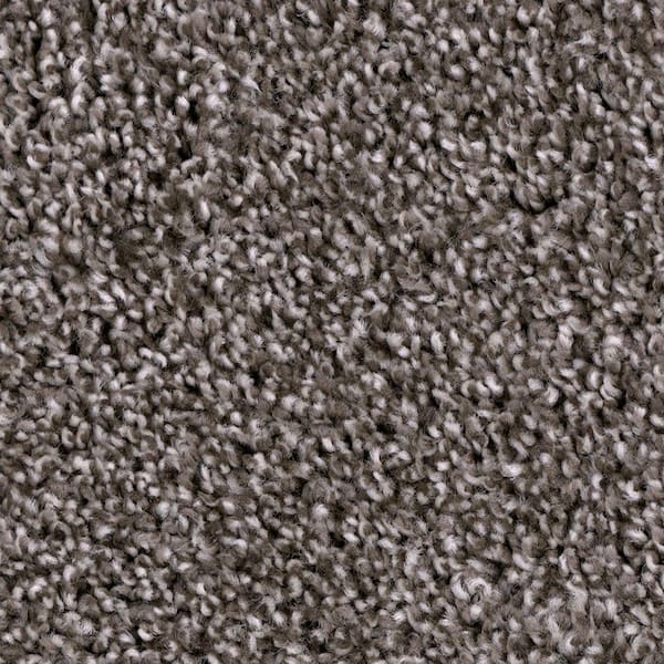TrafficMaster Founder - Pioneer - Brown 18 oz. SD Polyester Texture Installed Carpet